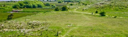 Saltfleetby