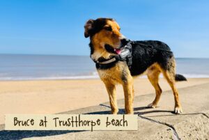 Bruce-at-Trusthorpe-1