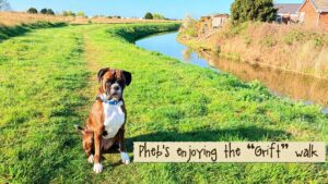 Phebs-at-the-Grift-1